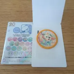 ダッフィー＆フレンズ20周年：カラフルハピネス ワッペン