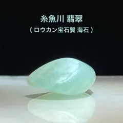 2026年最新】翡翠 ろうかんの人気アイテム - メルカリ