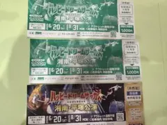 ハッピードリームサーカス 湘南 平塚公演　無料招待券のサムネイル