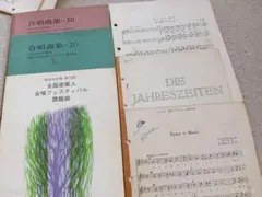 Item thumbnail for item 468ba91b-8030-49e7-ac93-114ce3af5515