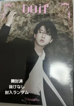 チャンビン straykids do itアコーディオン盤