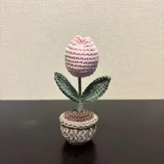 チューリップ　枯れないお花　ハンドメイド　あみぐるみ　鉢植え