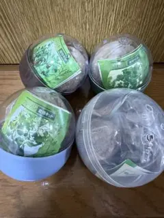 식물 재배 키트, 가챠 가챠, 4종 세트