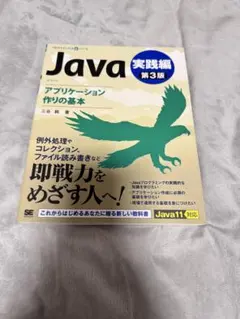 java IT