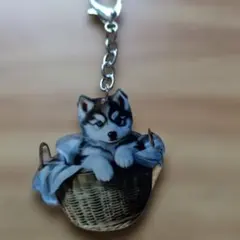 新品未使用で可愛いハスキー犬 キーホルダー アクリル