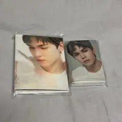 バーノン　トレカ　carat盤