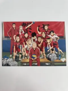 劇場版ハイキュー!! ゴミ捨て場の決戦　映画特典第2弾　音駒高校集合写真