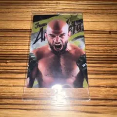 Item thumbnail for item 210f0a02-852a-4aa5-8751-b155631accb4