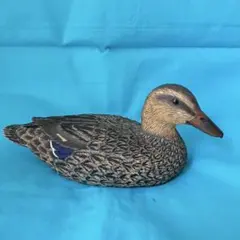 Item thumbnail for item e4de63b2-1b7a-485e-ae69-40e4d1bca344