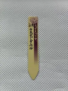 ❤️確認用❤️★F ミックスベリア❤️ウエディングベル❤️抜き苗♪✨メルカリ便✨札なし ミックスベリア ウエディングベル 抜き苗 おらいさん 多肉植物 札は