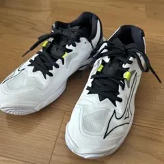 MIZUNO バレーボールシューズ 25.5cmのサムネイル