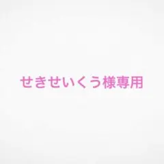 せきせいくう様専用ページ