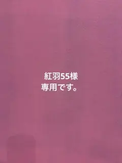 紅羽55様 リクエスト 3点 まとめ商品