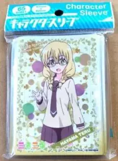 HAYAMA TERU キャラクタースリーブ 65枚入り