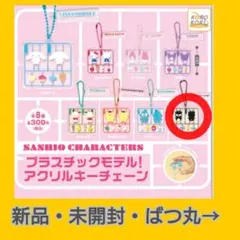 【新品未開封】プラスチックモデル！アクリルキーチェーン