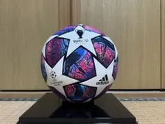サッカーボール 5号 公式球