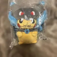 ポケモン ぬいぐるみ バクフーン ポケパークカントー 202502082147