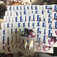 2025年最新】SAiNt snow スリーブの人気アイテム - メルカリ