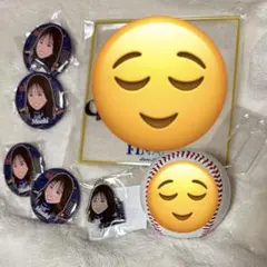 diana Misaki サインボール　アクリルサイン色紙　缶バッジ　アクキー 2025年最新】diana サインボールの人気アイテム - メルカリ