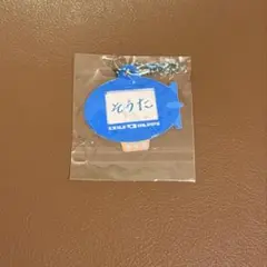 EXILE B HAPPY ネームキーホルダー　中島颯太