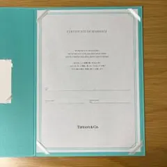 Item thumbnail for item 0c3832be-482f-4c01-b076-185f392e89a6