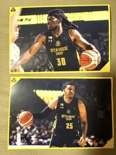 群馬クレインサンダーズ　ポストカードセット