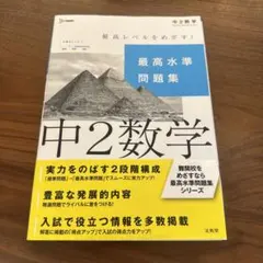 最高水準問題集 中2数学