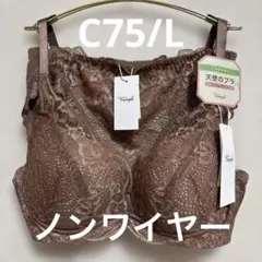 C75ブラウン トリンプ天使のブラスリムライン ノンワイヤー ブラ&ショーツ新品