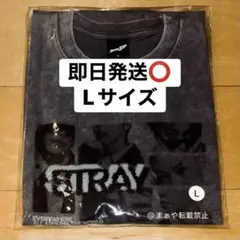 L 黒 straykids RUN IT JAPAN スキズ フォト Tシャツ - メルカリ