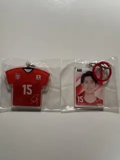 [バラ売り可]バレーボール男子日本代表　甲斐優斗選手 キーホルダーセット