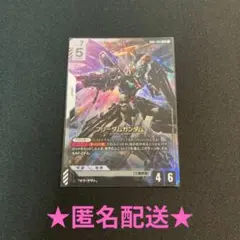 フリーダムガンダム LR ★匿名配送★