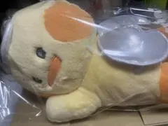 Item thumbnail for item fc488122-63a8-4045-aa16-207943d0af5a