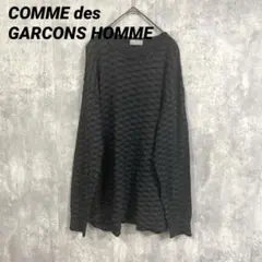 COMME des GARCONS HOMME ブロックチェック　薄手セーター