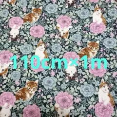 猫ネコ ボタニカル smork blue