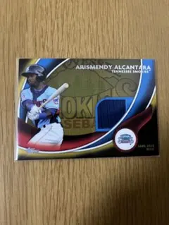 arismendy alcantara reliccard/50 （元日ハム）