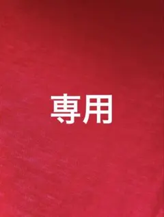 でこぱ様　専用　　レーズンチョコ　２袋セット