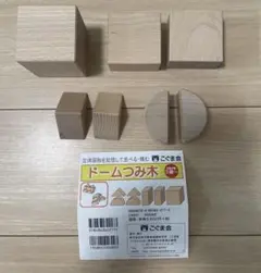 こぐま会 ドームつみ木 パーツ完備 小学校受験 木製 知育玩具のサムネイル