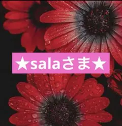 sala様 リクエスト 3点 まとめ商品