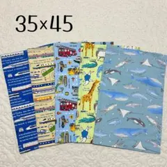 ランチョンマット 35×45 5枚セット　男の子用　電車　くるま　動物　給食用