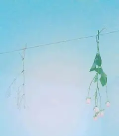 ららちゃむん 様　専用