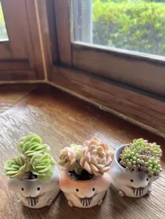 A Megumi様 リクエスト 3点 まとめ商品