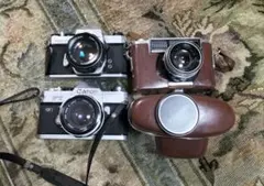 Item thumbnail for item 4b04b3b0-f2bf-41a6-a05f-d72173dd8e8b