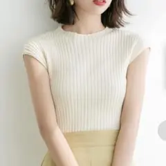 SAISON DE PAPILLON フレンチスリーブリブ切替サマーニット