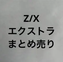 Z/X 엑스트라 벌크 세일