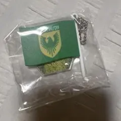 東京ヴェルディ 記念グッズ