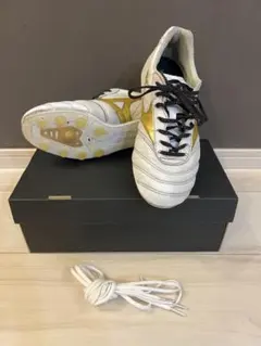 MIZUNO モレリア ⅡJAPAN 24.5cm