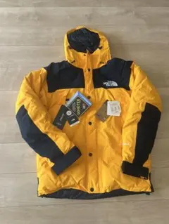 The North Face GORE-TEX ダウンジャケット