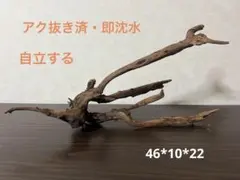 XM-367 ブランチウッド　流木　マシンガンウッド　アクアリウム　沈水確認済 2026年最新】マシンガンウッドの人気アイテム - メルカリ