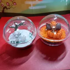 ポケモン ランタン風 スノードーム ポケセン アローラロコン