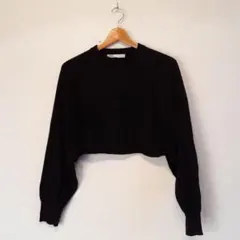 ZARA 長袖 ニット クロップド ショート丈 重ね着 リブ